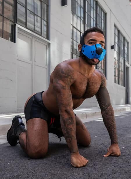 Mr. S Neo Open Face Harness