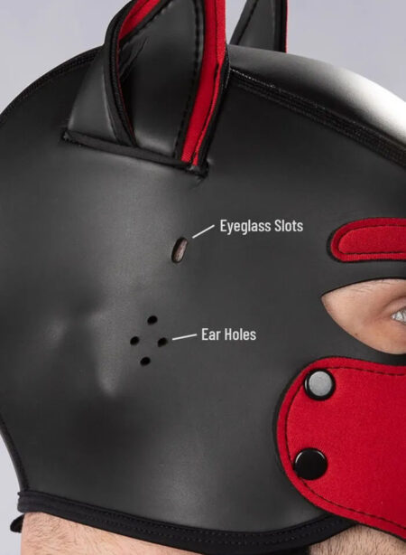 Mr. S Neoprene Puppy Hood Custom