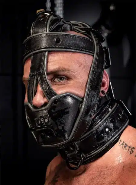 Mr. S Hardline Head Harness Muzzle Padded Locking Grey
