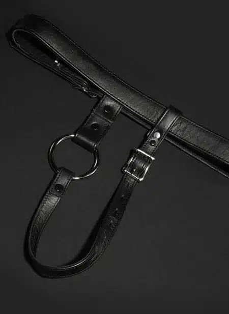 Mr. S Leather Butt Plug Harness Lockable