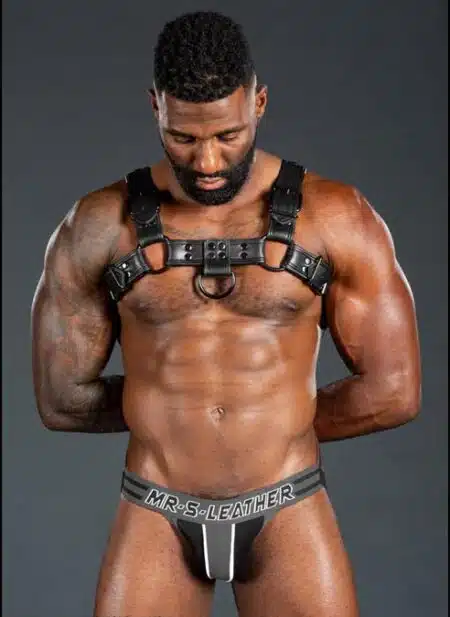 Mr. S Leather Dark Room Bulldog Harness Black
