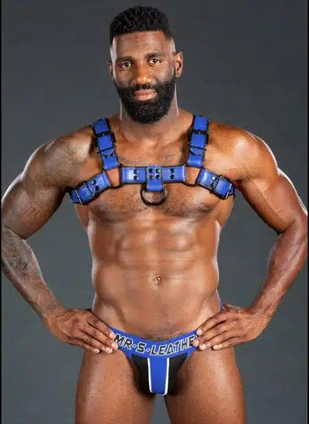 Mr. S Leather Dark Room Bulldog Harness Blue