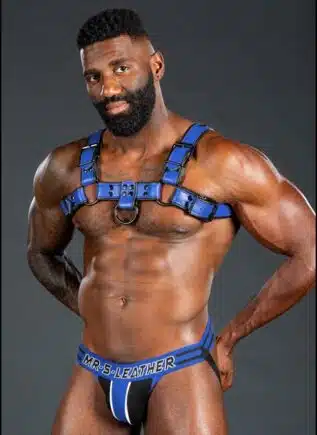 Mr. S Leather Dark Room Bulldog Harness Blue