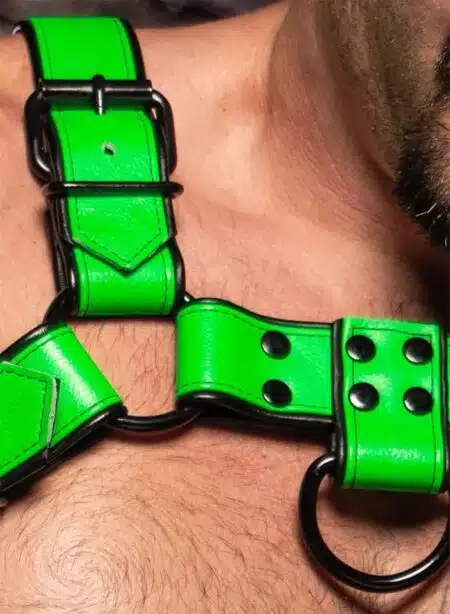 Mr. S Leather Dark Room Bulldog Harness Lime