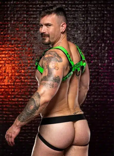 Mr. S Leather Dark Room Bulldog Harness Lime