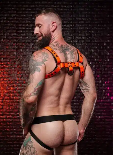 Mr. S Leather Dark Room Bulldog Harness Orange