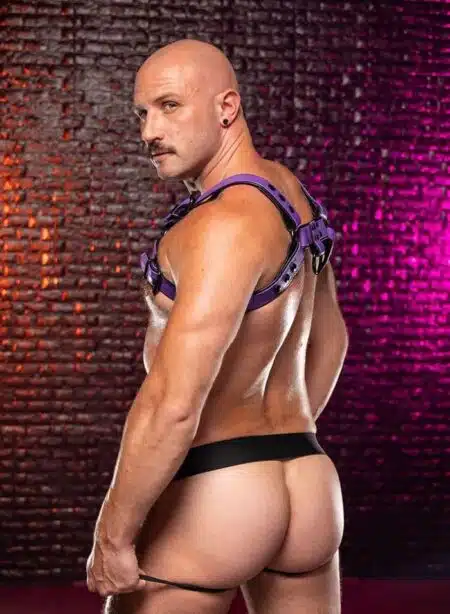 Mr. S Leather Dark Room Bulldog Harness Purple