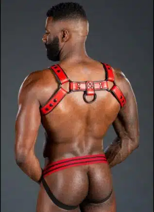 Mr. S Leather Dark Room Bulldog Harness Red