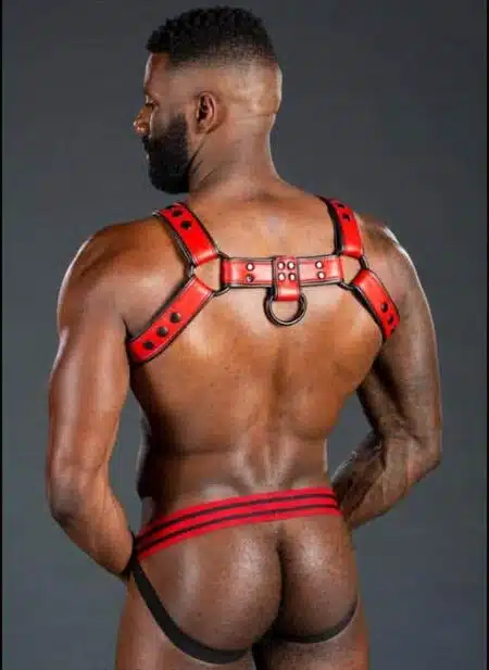 Mr. S Leather Dark Room Bulldog Harness Red