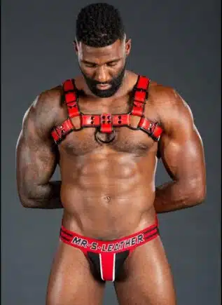 Mr. S Leather Dark Room Bulldog Harness Red