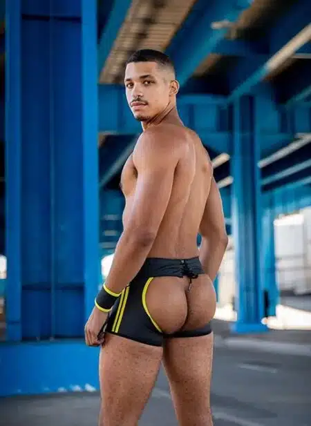 Mr. S Leather FuckGear Chaps Shorts