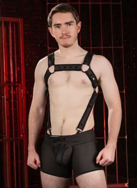 Mr. S Leather FuckGear Chaps Shorts