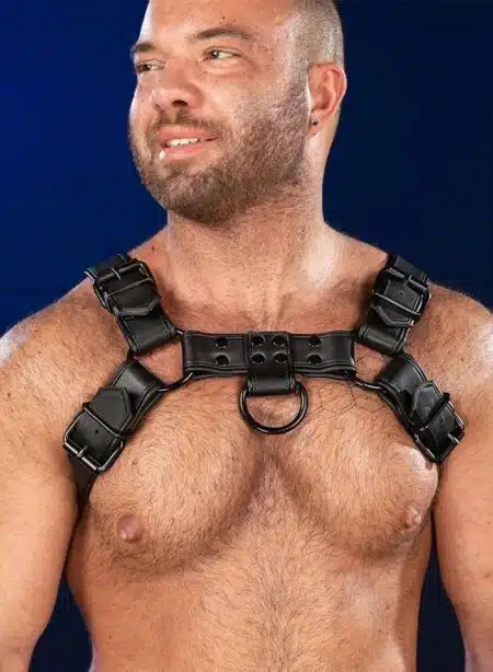 Mr. S Leather Hardline Bulldog Harness Black