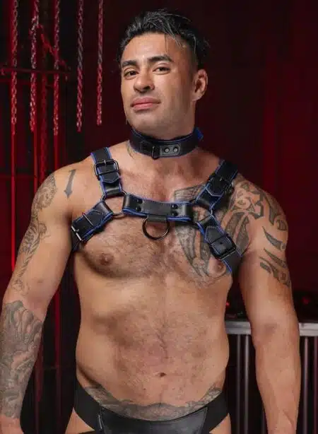 Mr. S Leather Hardline Bulldog Harness Blue