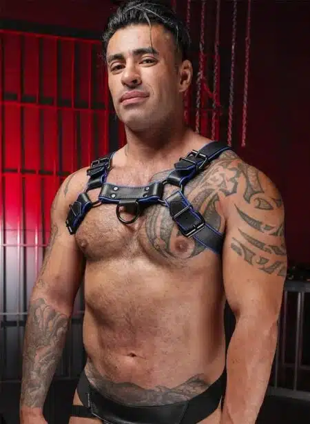 Mr. S Leather Hardline Bulldog Harness Blue