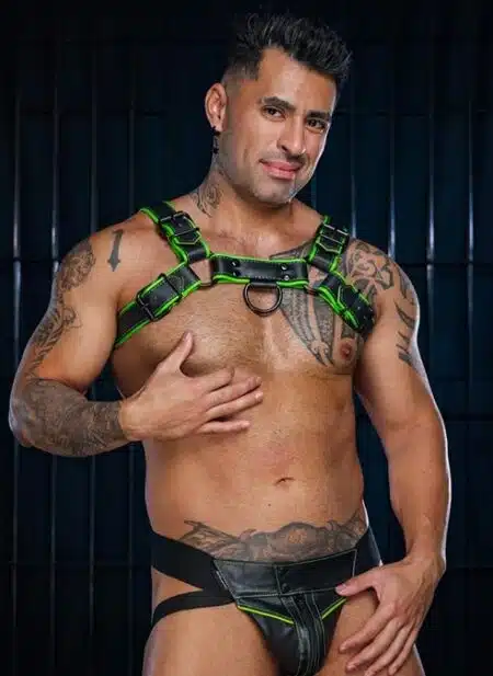 Mr. S Leather Hardline Bulldog Harness Lime