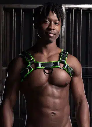 Mr. S Leather Hardline Bulldog Harness Lime