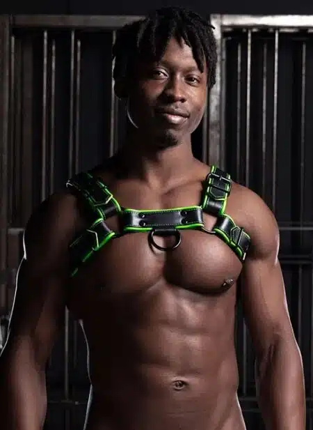 Mr. S Leather Hardline Bulldog Harness Lime