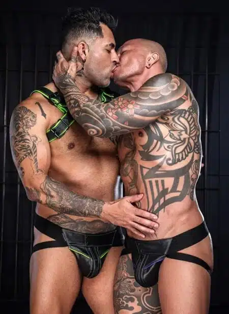 Mr. S Leather Hardline Bulldog Harness Lime