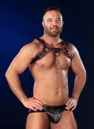 Mr. S Leather Hardline Bulldog Harness Pink
