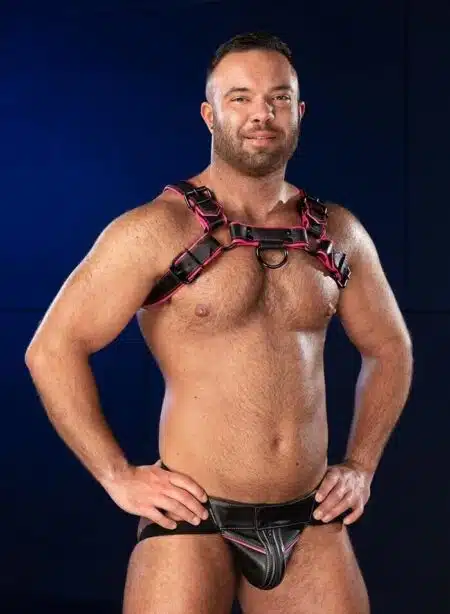 Mr. S Leather Hardline Bulldog Harness Pink