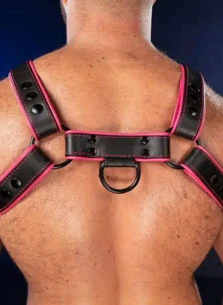 Mr. S Leather Hardline Bulldog Harness Pink