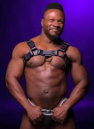 Mr. S Leather Hardline Bulldog Harness Purple