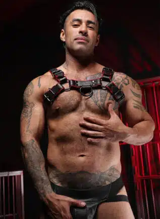 Mr. S Leather Hardline Bulldog Harness Red