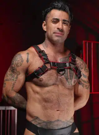 Mr. S Leather Hardline Bulldog Harness Red