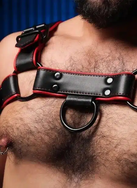 Mr. S Leather Hardline Bulldog Harness Red