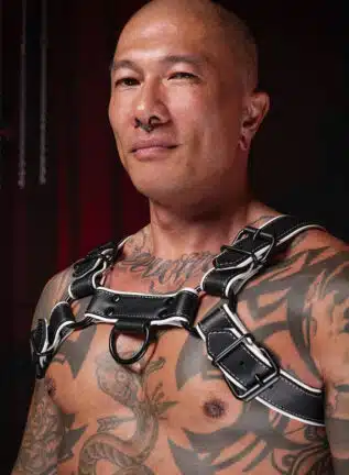 Mr. S Leather Hardline Bulldog Harness White
