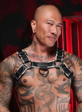 Mr. S Leather Hardline Bulldog Harness White