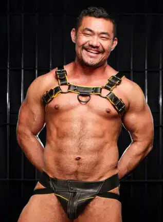Mr. S Leather Hardline Bulldog Harness Yellow