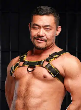 Mr. S Leather Hardline Bulldog Harness Yellow