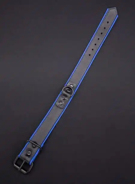 Mr. S Leather Hardline Collar Blue