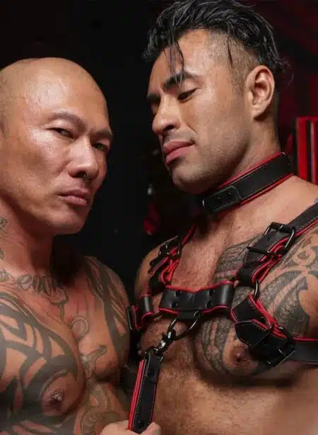 Mr. S Leather Hardline Collar Red