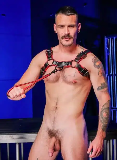 Mr. S Leather Hardline Short Leash Red