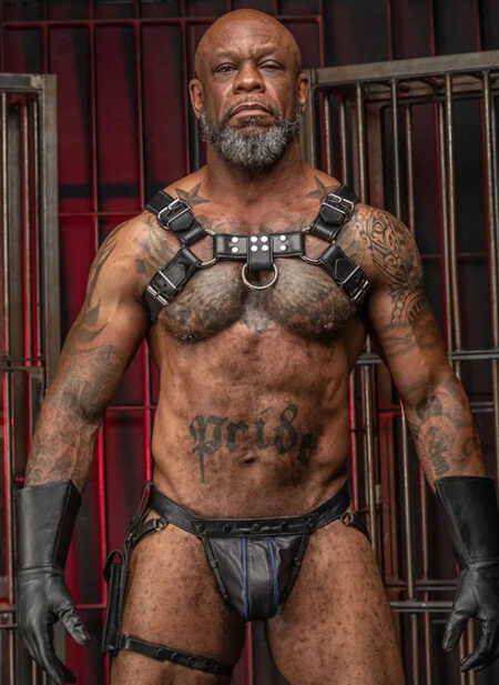 Mr. S Leather Hidden Ring Jock