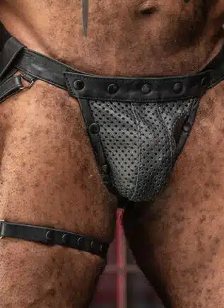Mr. S Leather Hidden Ring Jock