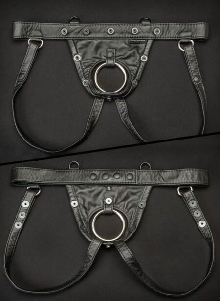 Mr. S Leather Hidden Ring Jock