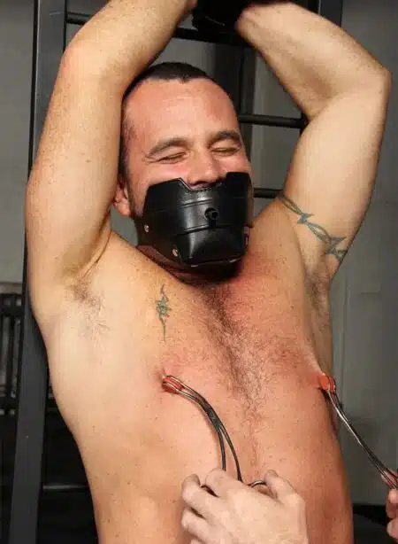 Mr. S Leather Leather Breather Gag