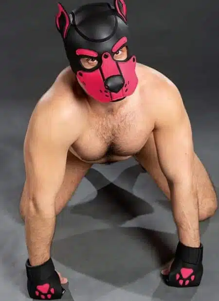Mr. S Leather Open Paw Puppy Glove Pink