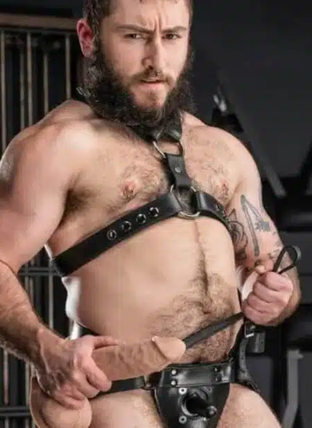 Mr. S Leather Vac-U-Lock Dildo Harness