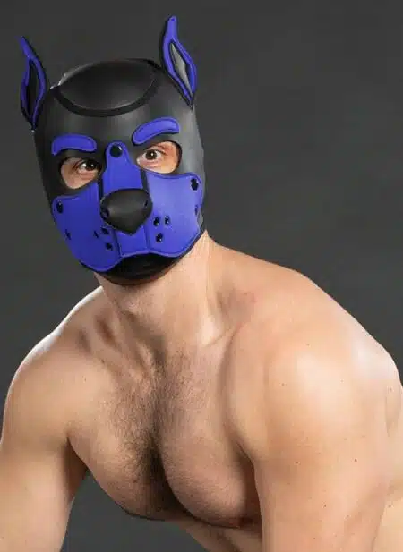 Mr. S Neo K9 Hood Royal Blue