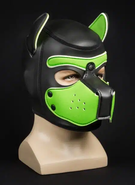 Mr. S Neoprene Puppy Hood Lime