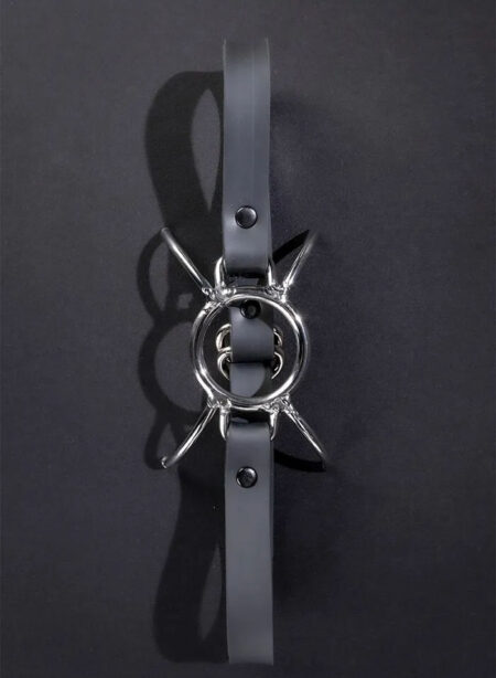 Mr. S Spyder Gag