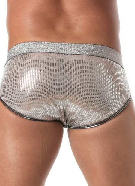 TOF Glitter Brief