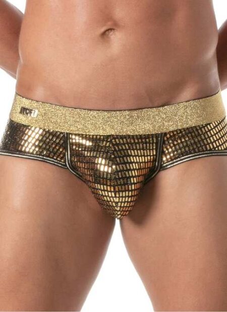 TOF Glitter Brief