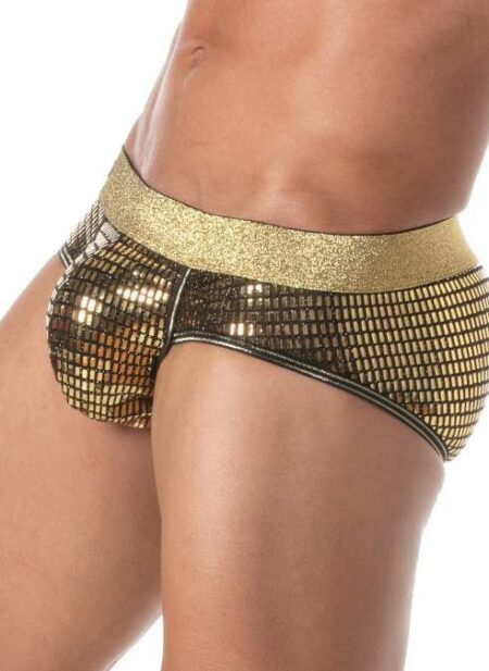 TOF Glitter Brief