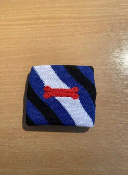 Wrist Band Bear Pride